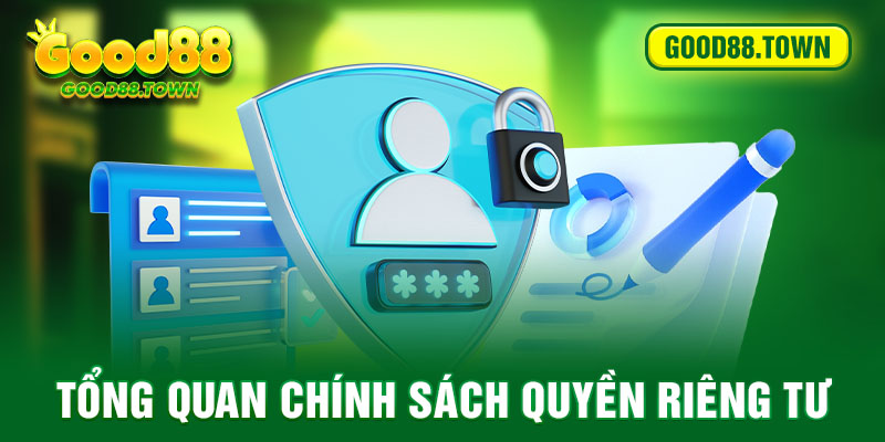 Tổng quan chính sách quyền riêng tư