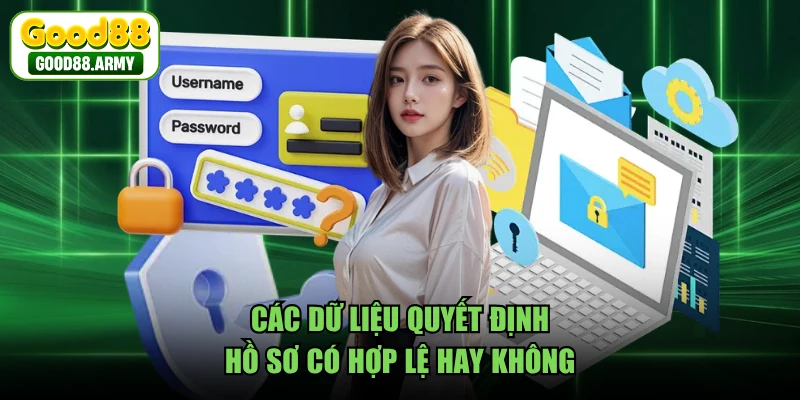 Các dữ liệu quyết định hồ sơ có hợp lệ hay không