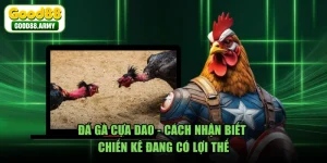 Đá Gà Cựa Dao - Cách Nhận Biết Chiến Kê Đang Có Lợi Thế