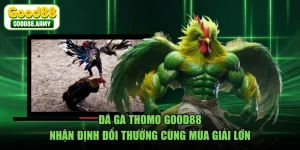 Đá Gà Thomo GOOD88 - Nhận Định Đổi Thưởng Cùng Mùa Giải Lớn