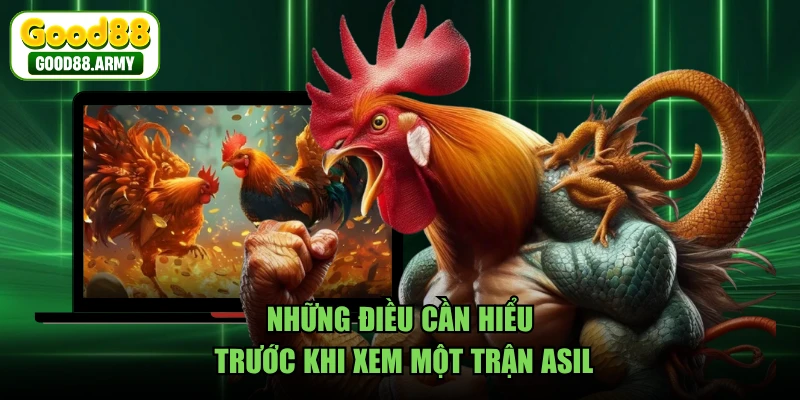 Những điều cần hiểu trước khi xem một trận Asil