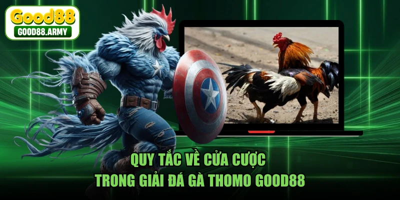 Quy tắc về cửa cược trong giải đá gà Thomo GOOD88