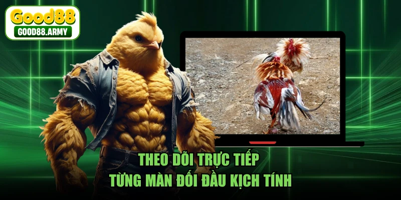 Theo dõi trực tiếp từng màn đối đầu kịch tính